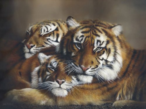 Limited Edition Print 'The Family'